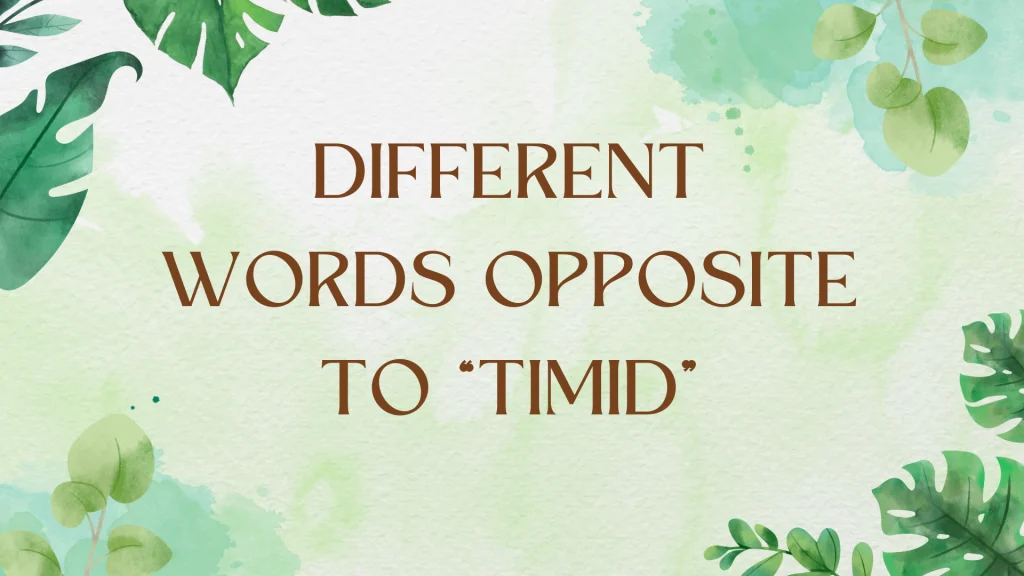Exploring Antonyms for "Timid": Expanding Your Vocabulary
