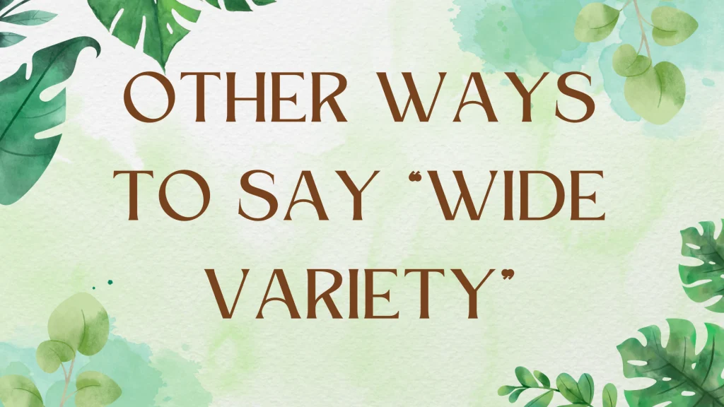 Synonyms for "Wide Variety": Expanding Your English Vocabulary